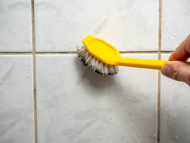 Professional Mold Removal in Banner Hill, TN