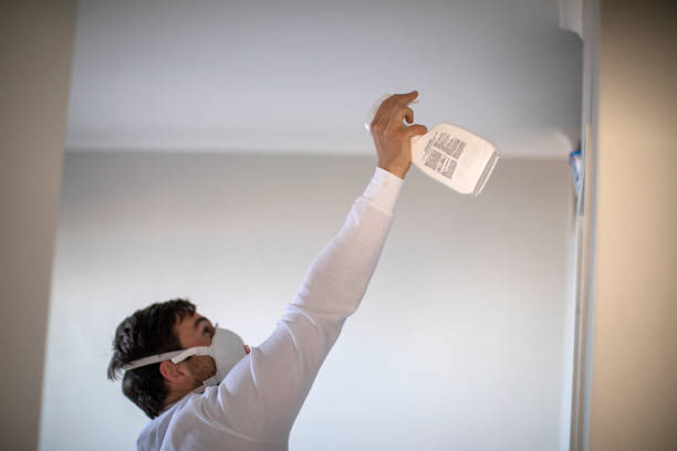 Best Mold Testing and Removal  in Banner Hill, TN