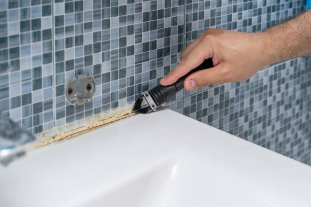 Best Mold Removal Company Near Me  in Banner Hill, TN