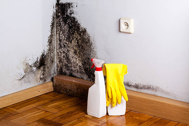 Best Crawl Space Mold Removal  in Banner Hill, TN